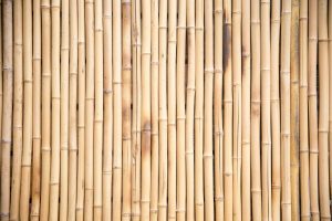 haie bambou brise vue